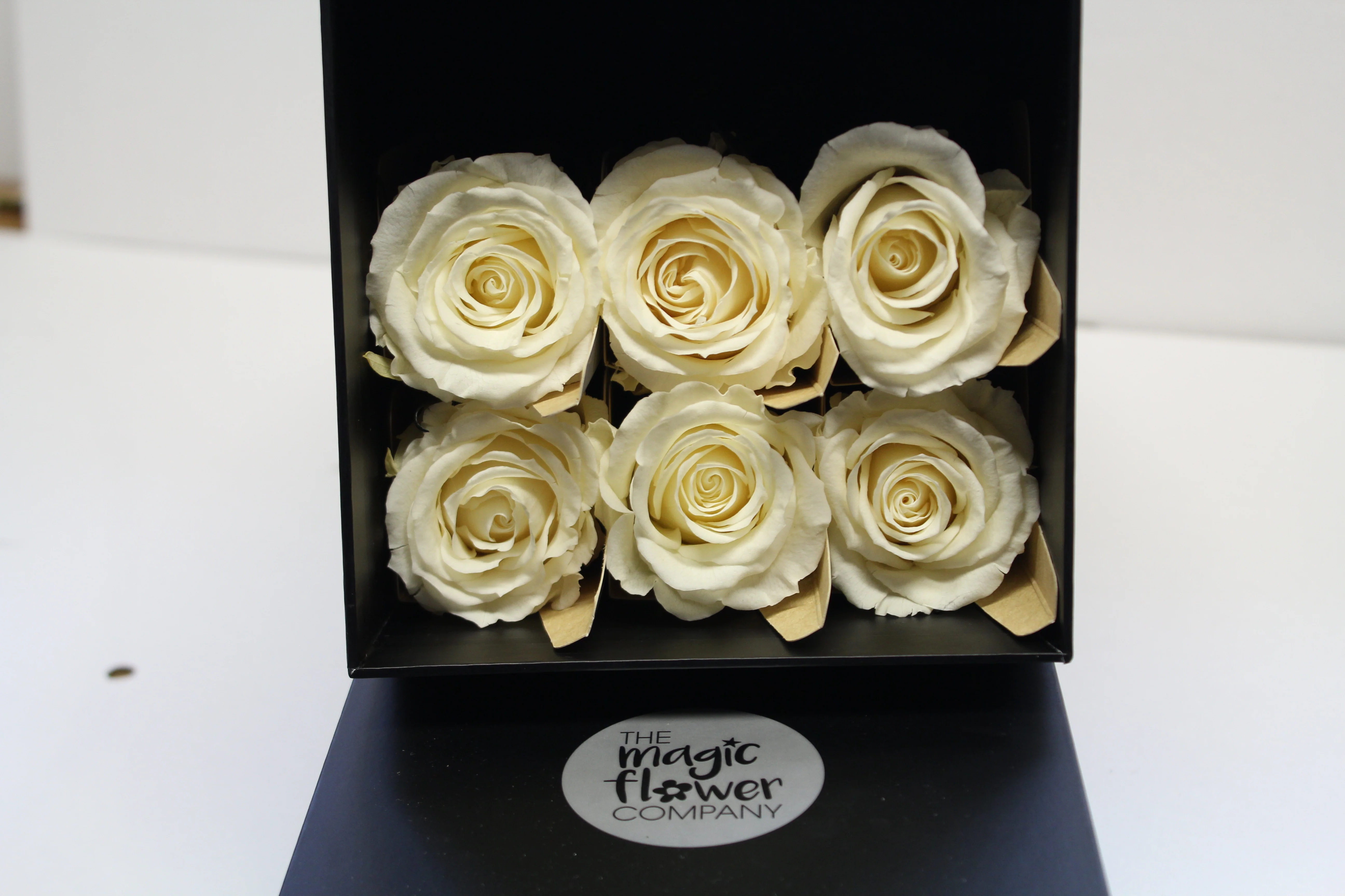 6 Premium Roses In Gift Box - Image 4