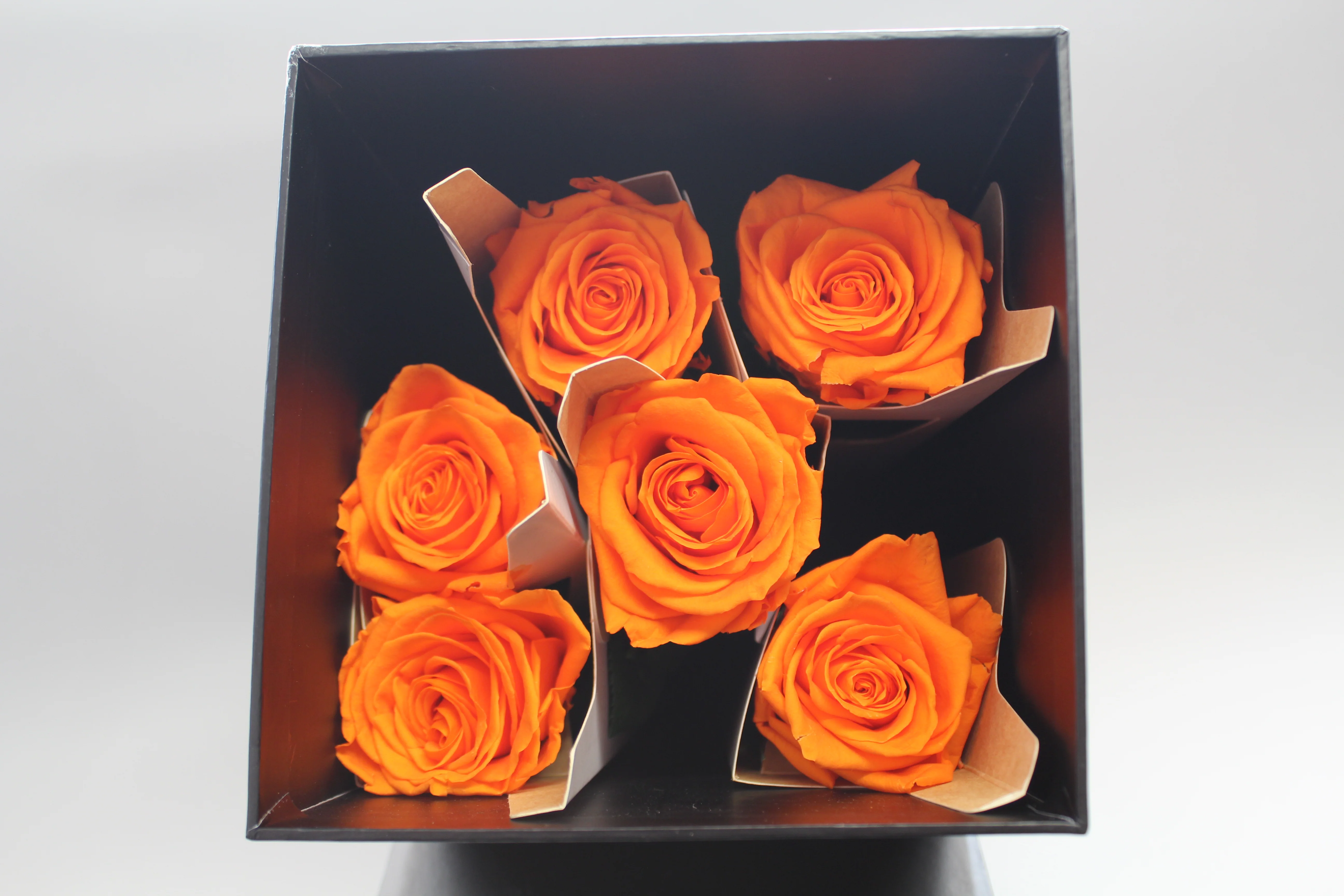 6 Premium Roses In Gift Box - Image 5