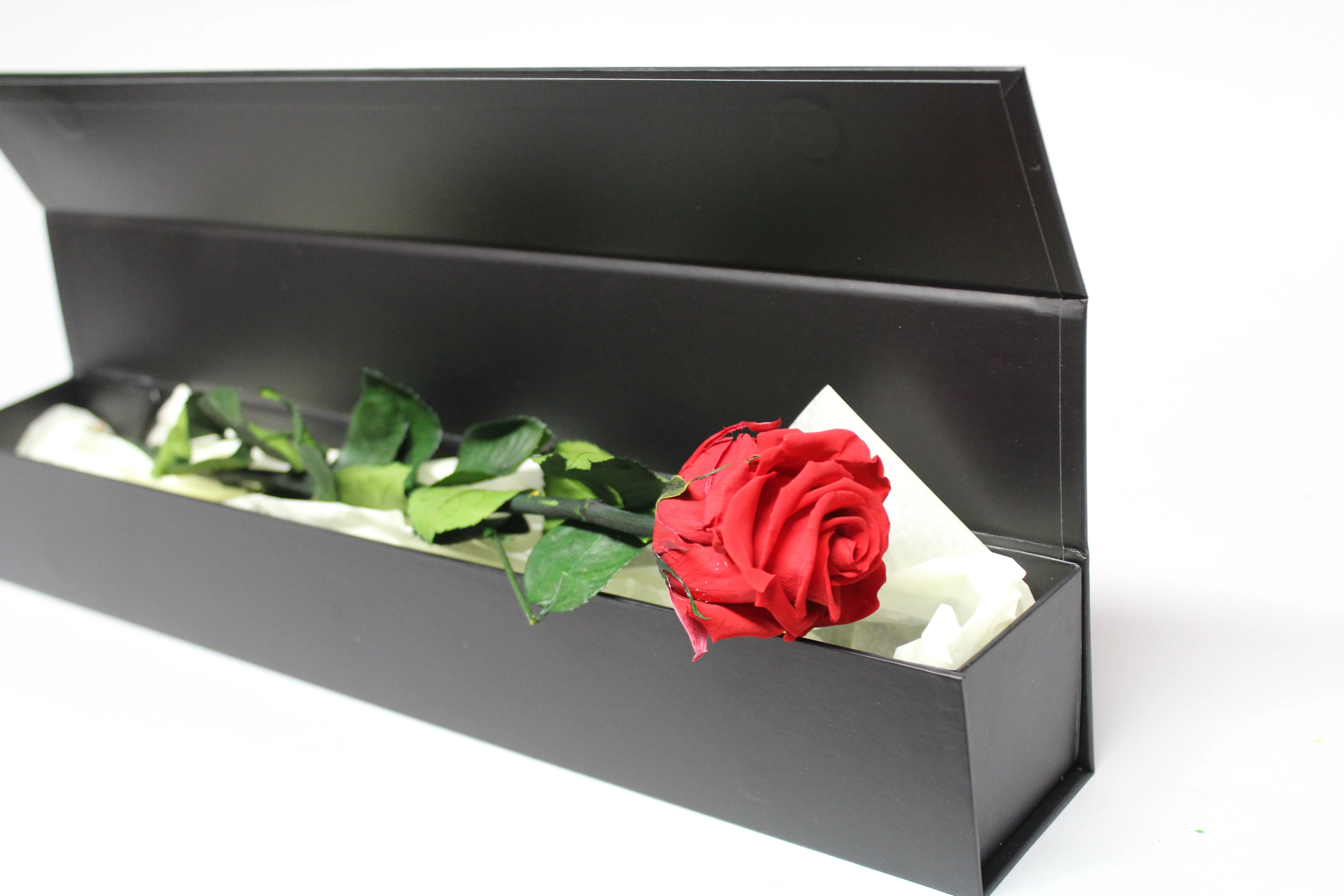 Presentation Rose in Gift Box - Image 5