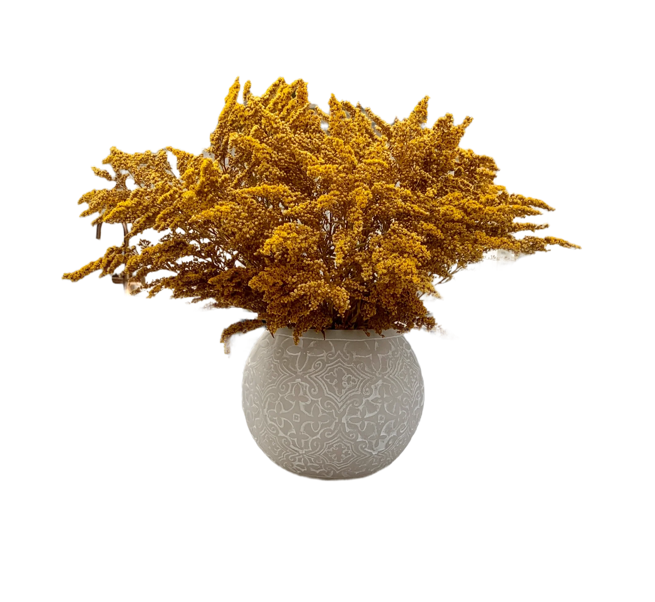 Golden Solidago
