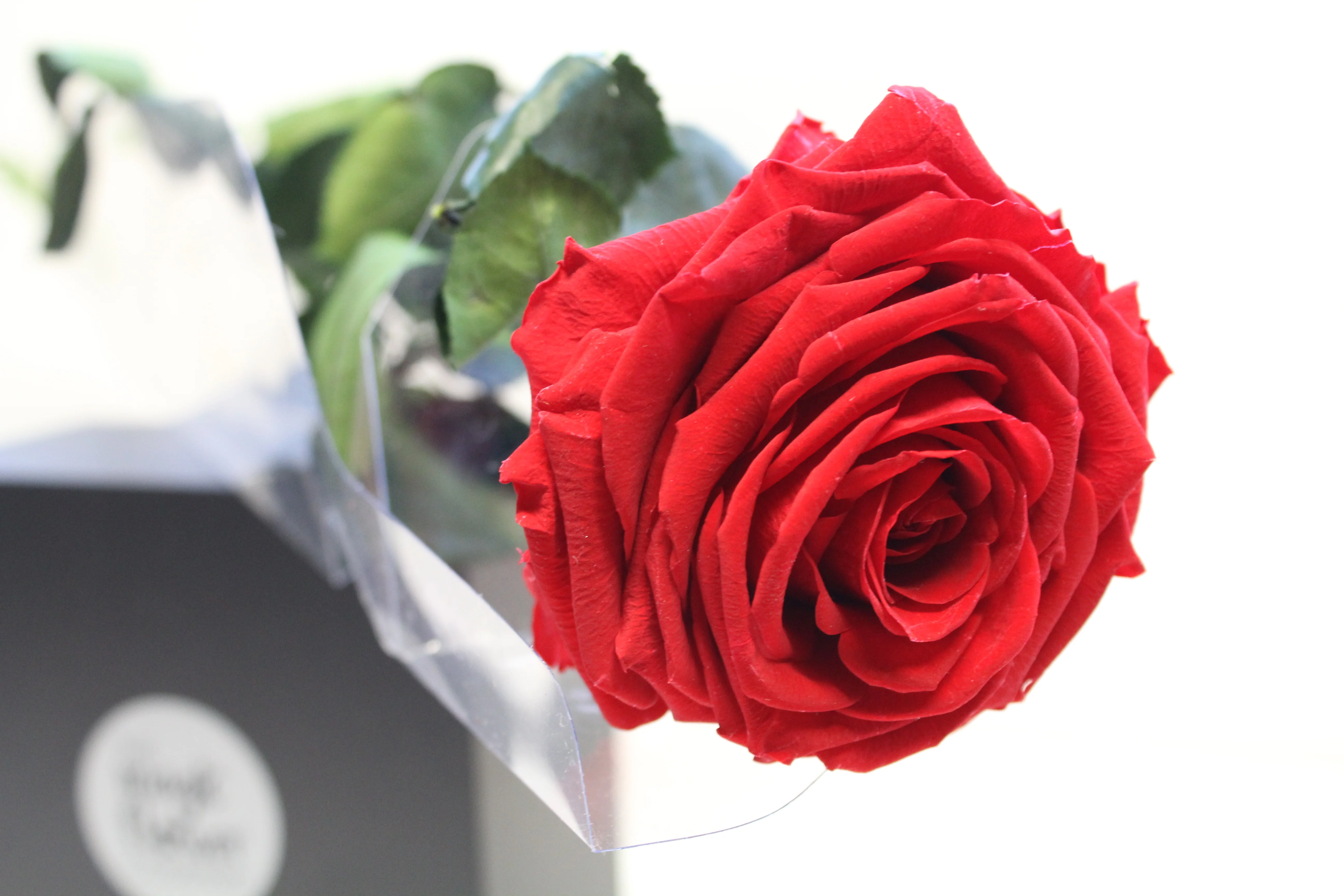 Red Super Rose - Image 3