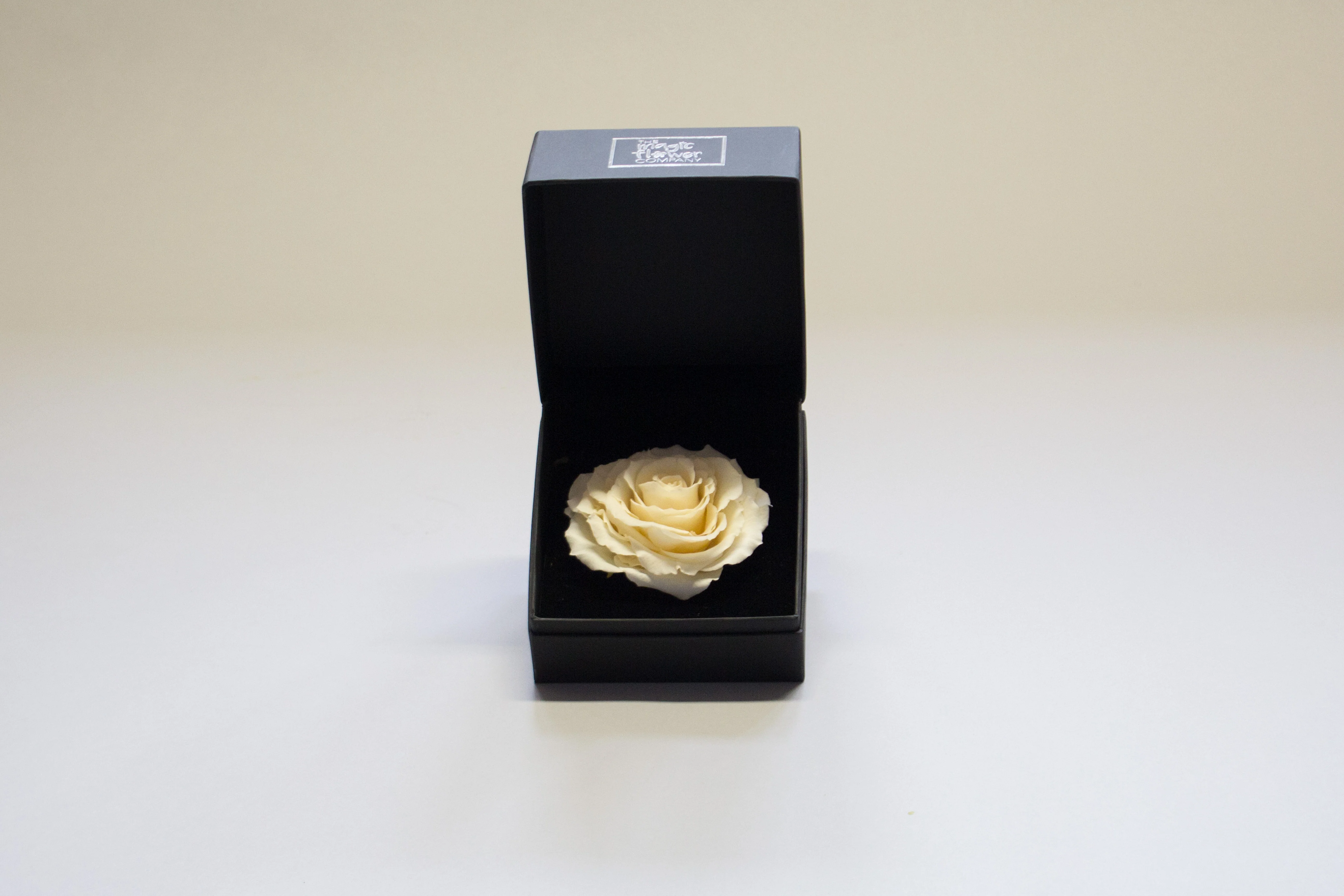Large Rose Head in Gift Box - Image 3