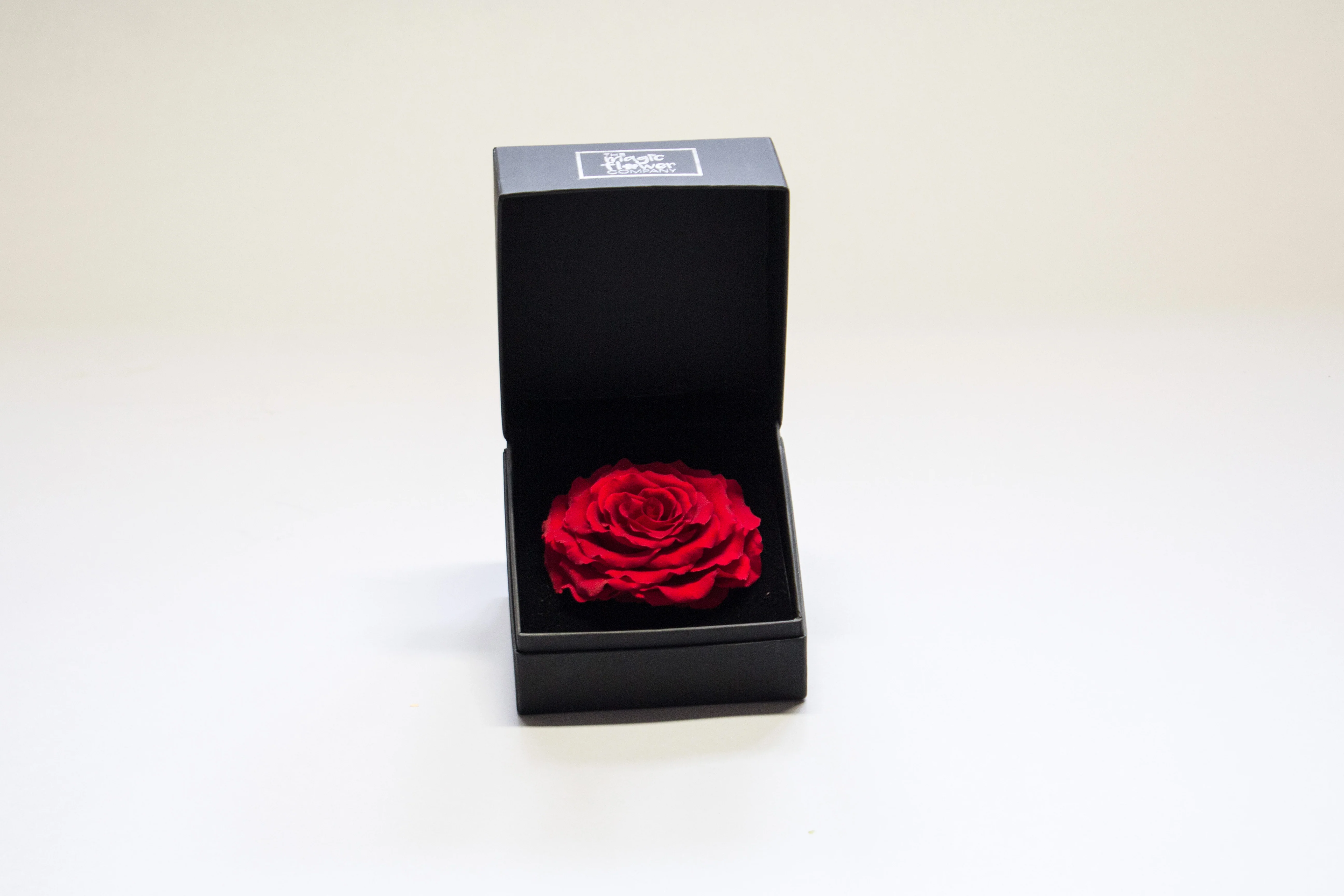 Large Rose Head in Gift Box - Image 4