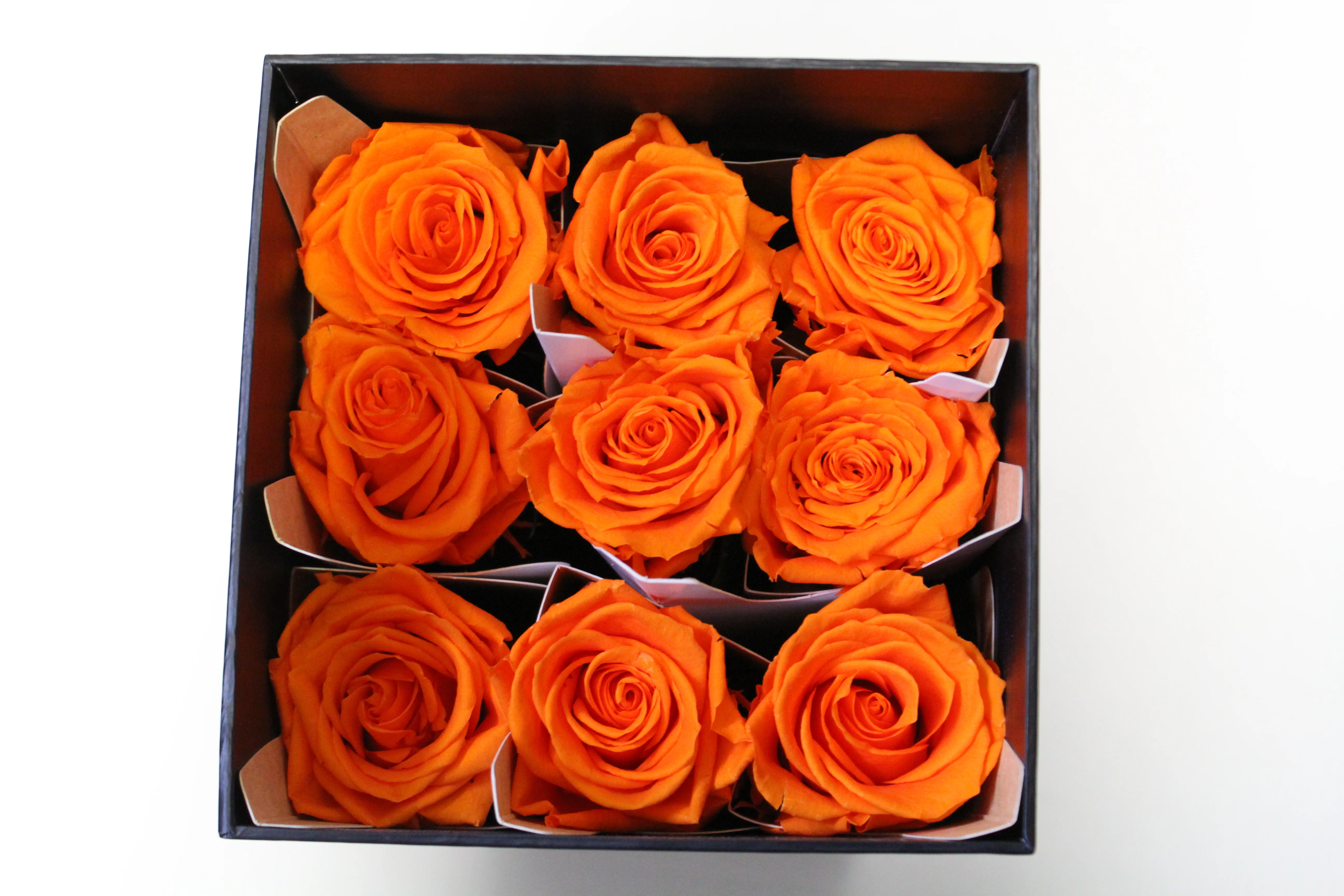 9 Premium Roses In Gift Box - Image 7